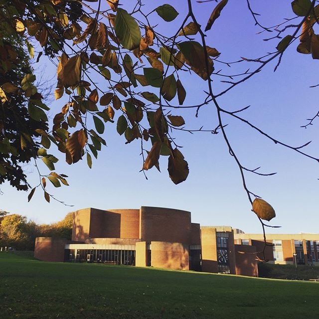 UNIVERSITY OF SUSSEX - FALMER CAMPUS 